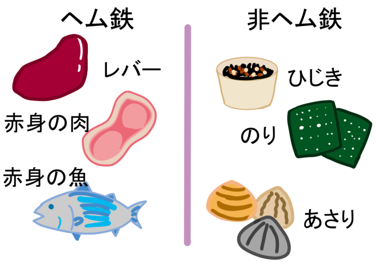 左が赤身の肉・レバーなど、右が魚介・貝・海苔の対比を描いたイラスト